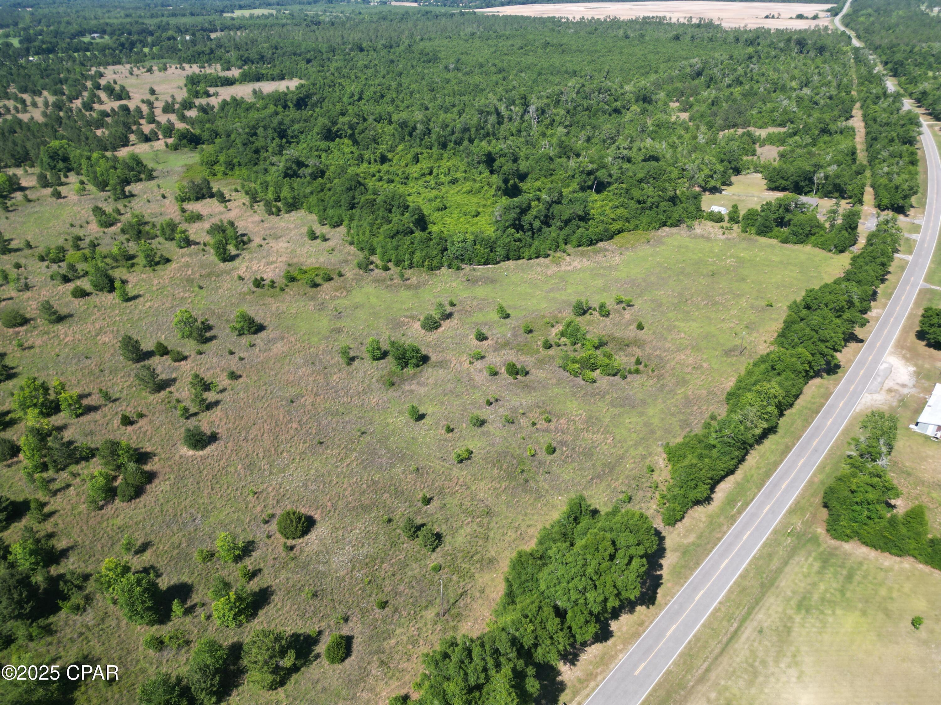 0 Blue Springs Road Greenwood, FL 32443 - Photo 4 of 15