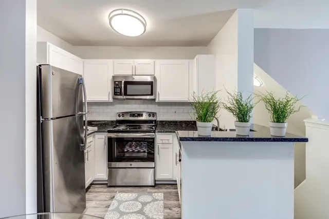 $3,163 | 350 Schubert Court, Unit 350, Wheaton, IL 60189