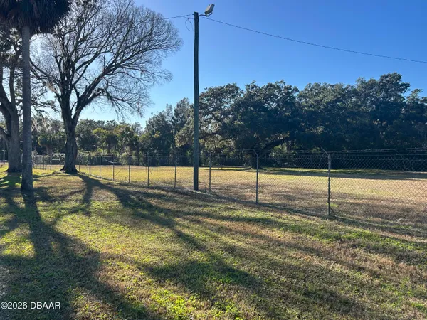 a view of a yard with large trees