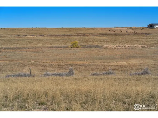 a view of an ocean beach
