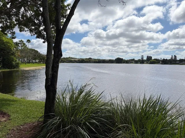 a view of a lake from a yard