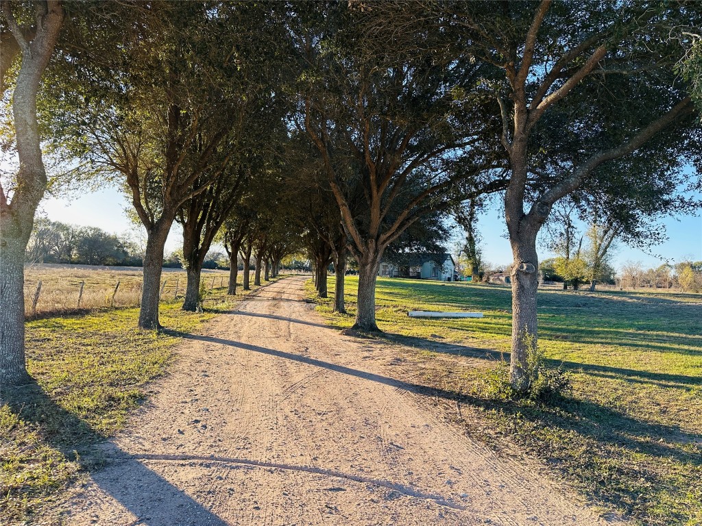 25417 Highway 6 Hempstead, TX 77445 - Photo 4 of 48 a view of a yard with wooden fence
