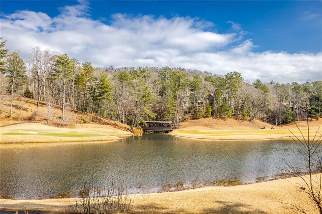 135 Chestnut Rise Trail, Unit 441C Jasper, GA 30143 - Photo 55 of 61