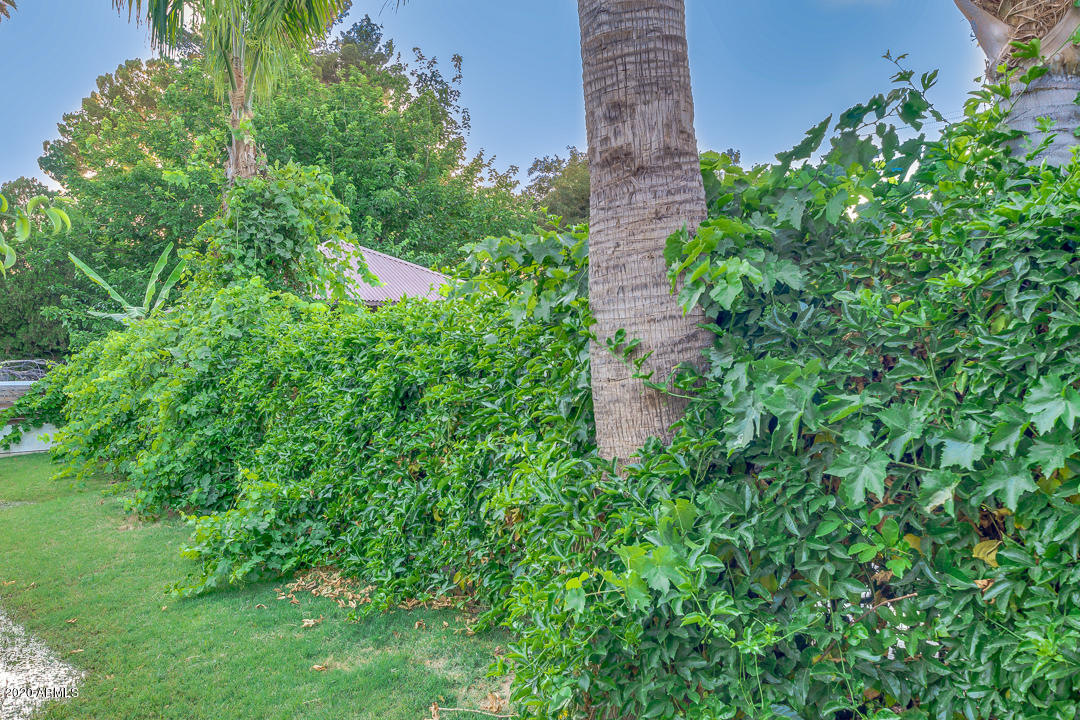 13827 East Ray Road Gilbert, AZ 85296 - Photo 81 of 94 87-Ray