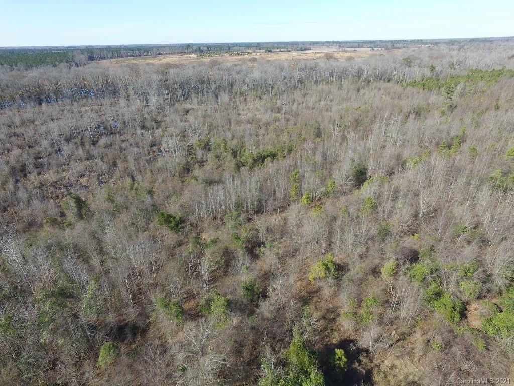 Off Off Gaddys Mill Road Rowland, NC 28383 - Photo 11 of 40 a view of a dry grass field