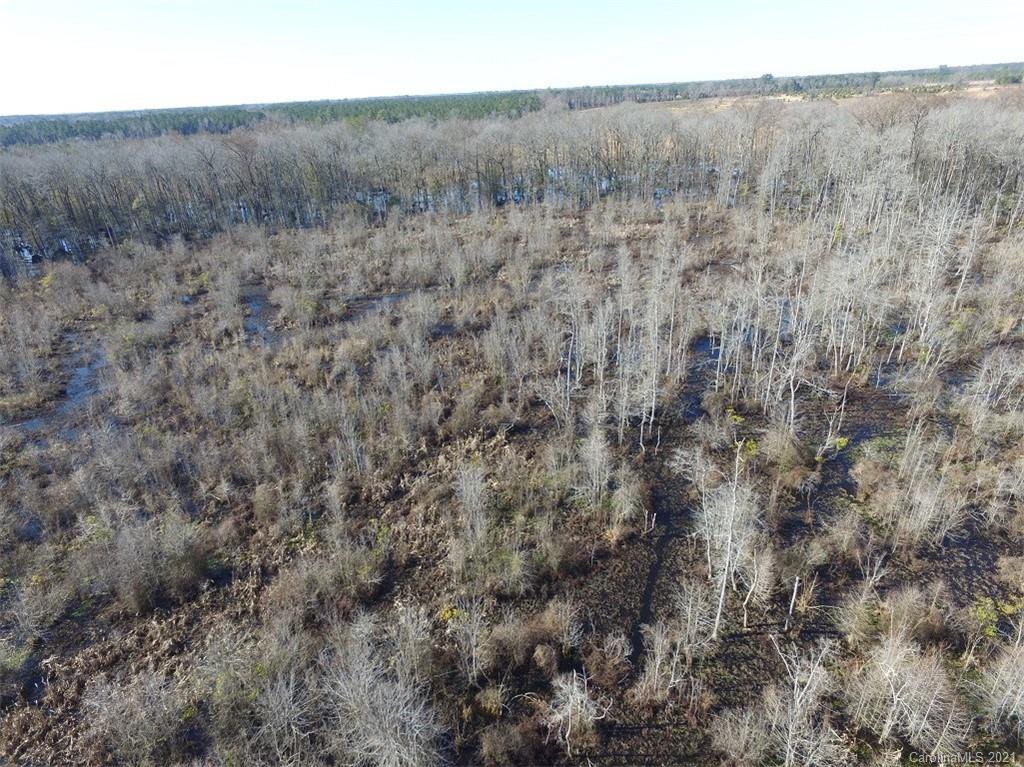 Off Off Gaddys Mill Road Rowland, NC 28383 - Photo 12 of 40 a view of a dry field