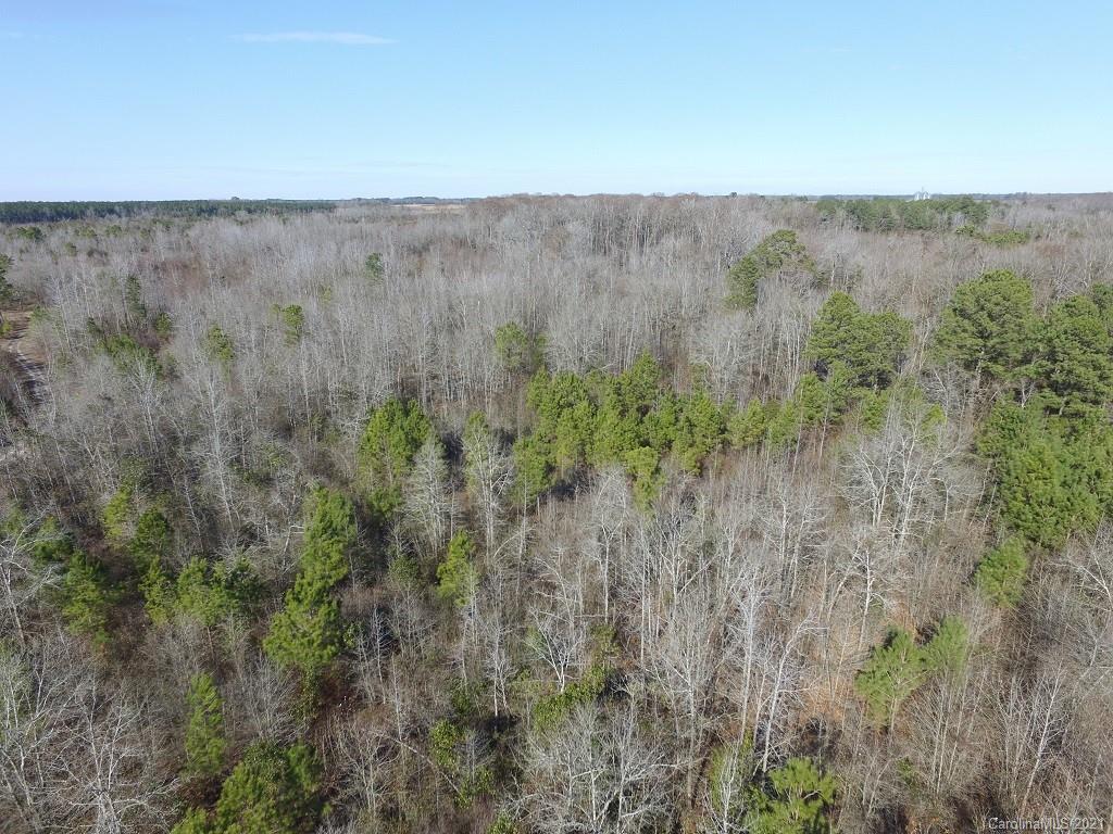 Off Off Gaddys Mill Road Rowland, NC 28383 - Photo 18 of 40 a view of a dry field with trees in the background