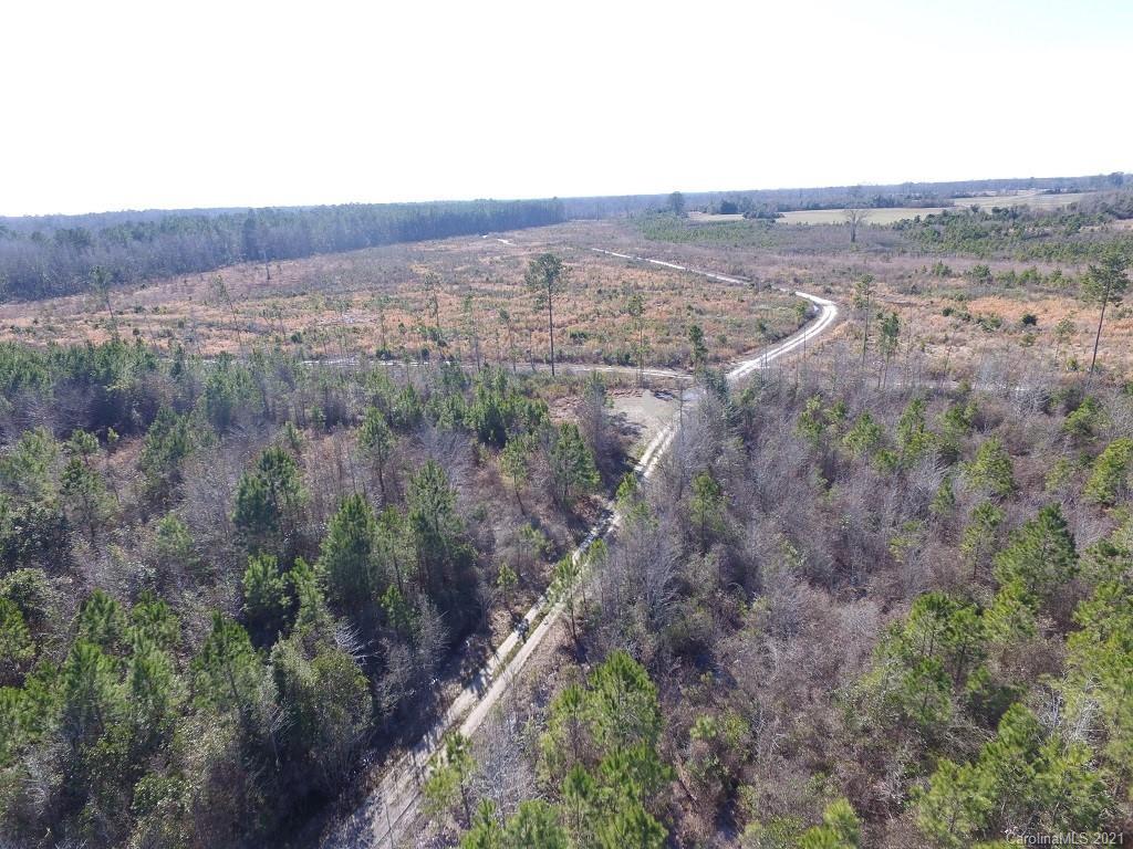 Off Off Gaddys Mill Road Rowland, NC 28383 - Photo 20 of 40 a view of a city with lush green forest