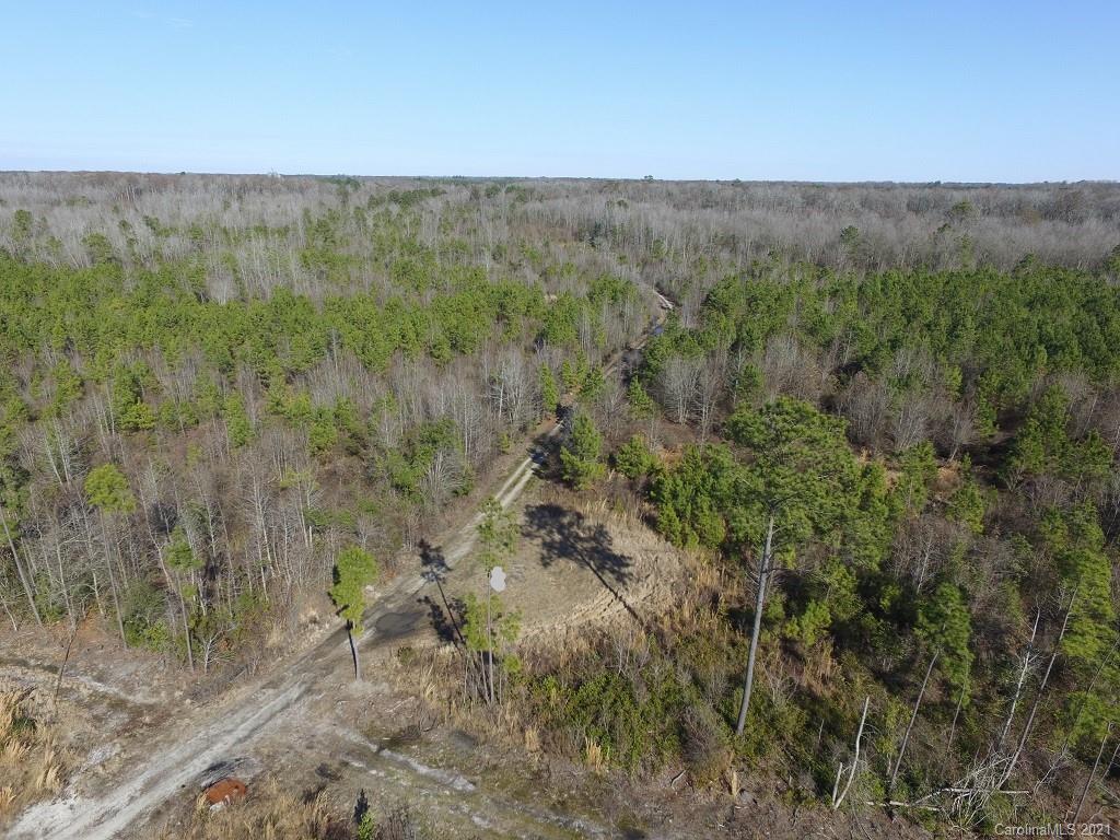 Off Off Gaddys Mill Road Rowland, NC 28383 - Photo 21 of 40 a view of a forest with a forest