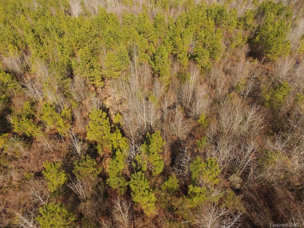 Off Off Gaddys Mill Road Rowland, NC 28383 - Photo 22 of 40 a view of a yard