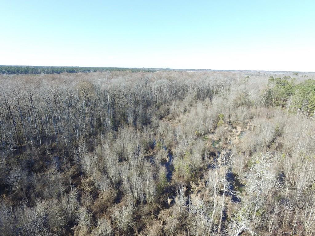 Off Off Gaddys Mill Road Rowland, NC 28383 - Photo 29 of 40 a view of a dry field