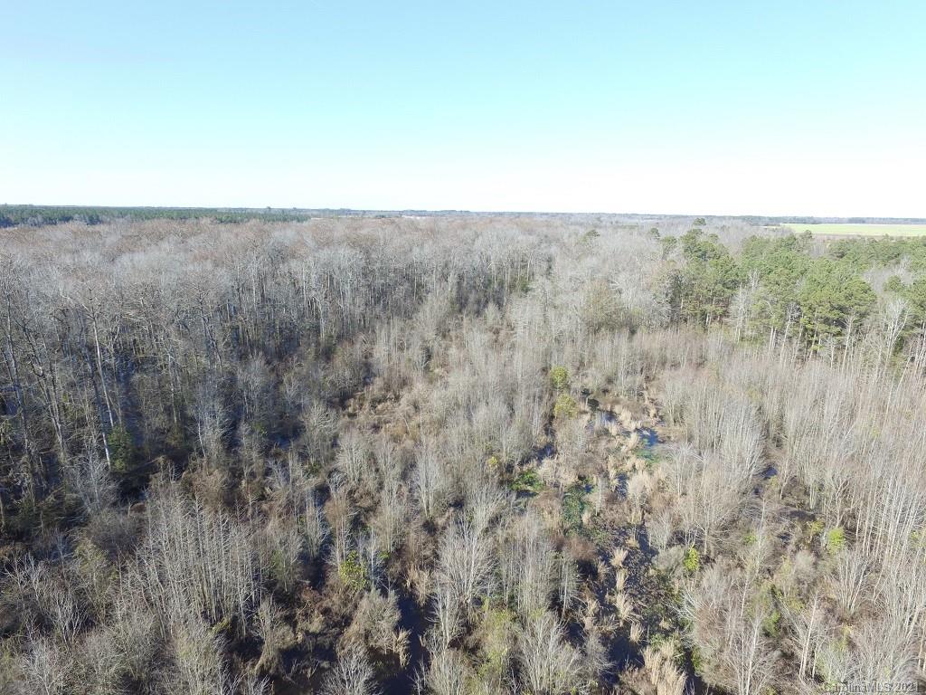 Off Off Gaddys Mill Road Rowland, NC 28383 - Photo 30 of 40 a view of a dry field