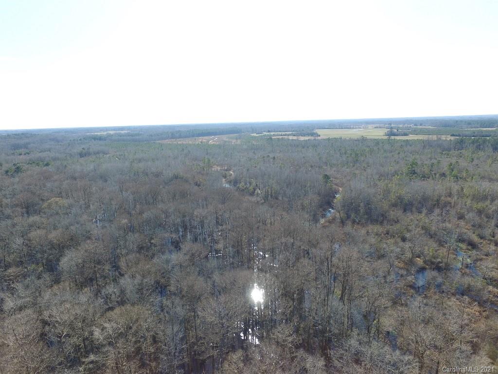 Off Off Gaddys Mill Road Rowland, NC 28383 - Photo 31 of 40 a view of a space with lots of trees