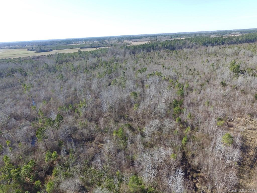Off Off Gaddys Mill Road Rowland, NC 28383 - Photo 34 of 40 a view of a dry field