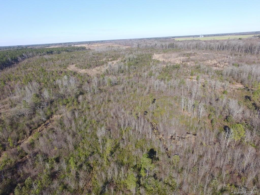 Off Off Gaddys Mill Road Rowland, NC 28383 - Photo 38 of 40 a view of a field