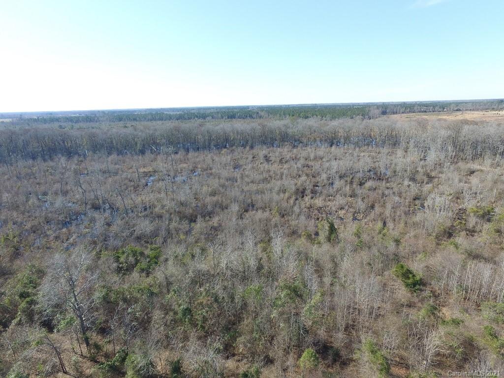 Off Off Gaddys Mill Road Rowland, NC 28383 - Photo 10 of 40 a view of a field of grass and trees