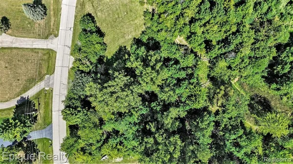 $34,900 | 0 Shinanguag Drive, Goodrich, MI 48438