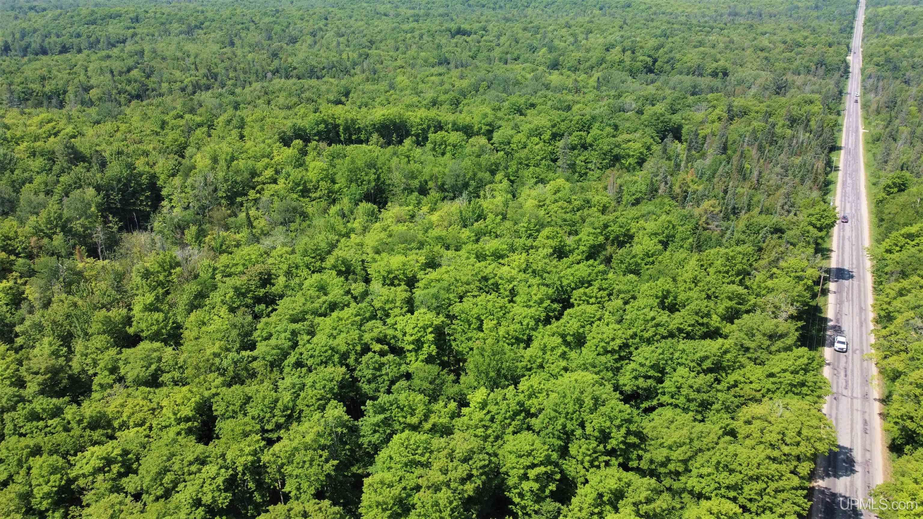 On West Shingleton Road Shingleton, MI 49884 - Photo 12 of 20
