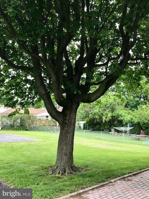 8118 Bon Air Road Baltimore, MD 21234 - Photo 10 of 27 Mature trees and lush lawn!