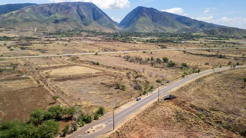 a view of an ocean beach
