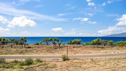 a view of a dry yard with wooden fence