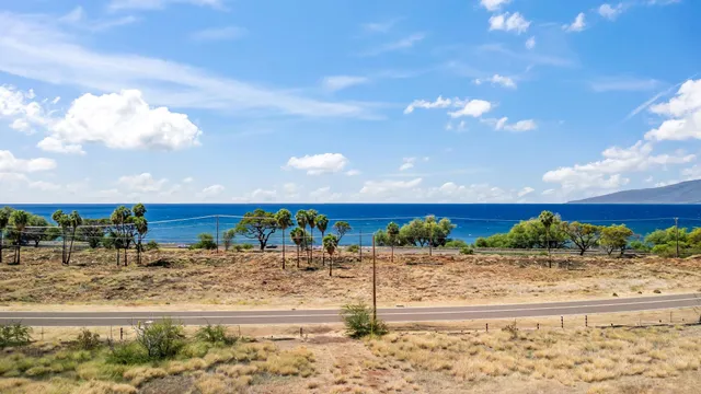 a view of a dry yard with wooden fence