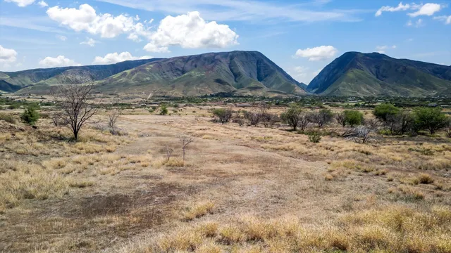 a view of a dry yard with wooden fence