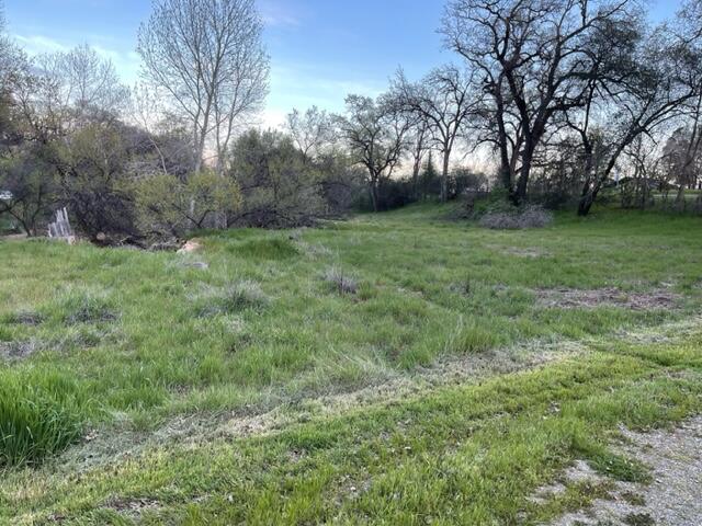 18690 Reeds Creek Road Red Bluff, CA 96080 - Photo 6 of 23 a view of a garden with trees
