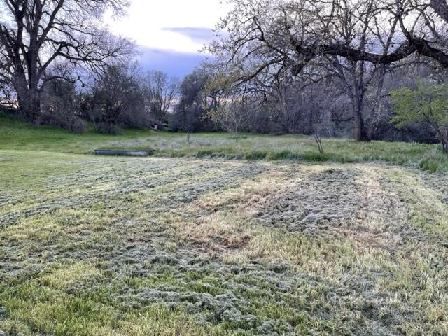 18690 Reeds Creek Road Red Bluff, CA 96080 - Photo 7 of 23 a view of a backyard