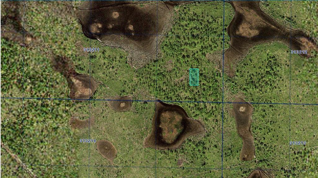 31 River Ranch Boulevard Kenansville, FL 34739 - Photo 2 of 3 a view of a garden