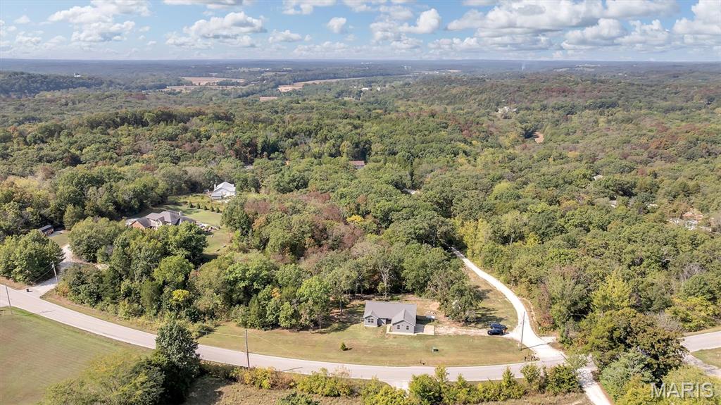 68 Lyrics Lane Villa Ridge, MO 63089 - Photo 2 of 39