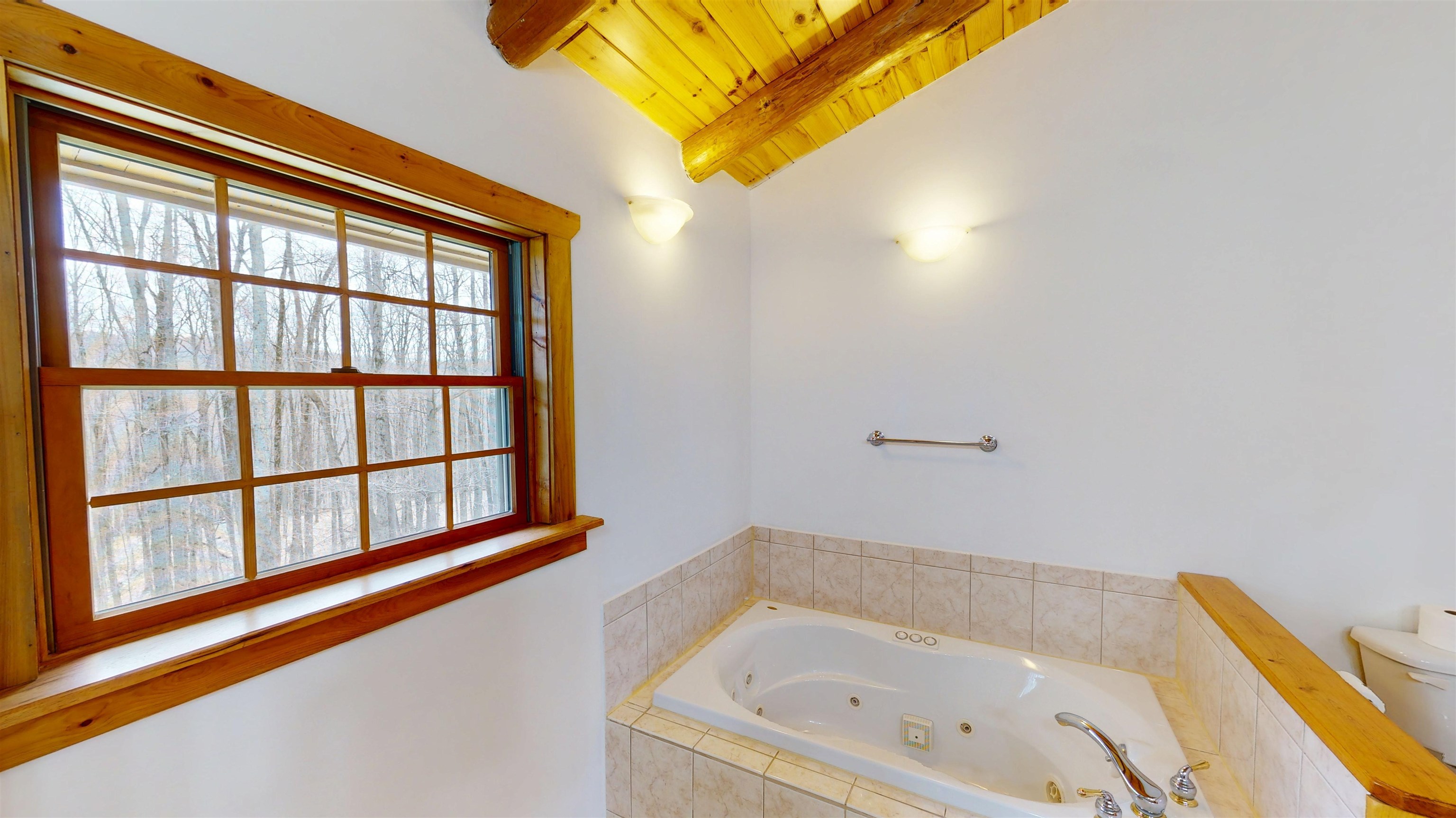 3827 Shumaker Road Mancelona, MI 49659 - Photo 41 of 66