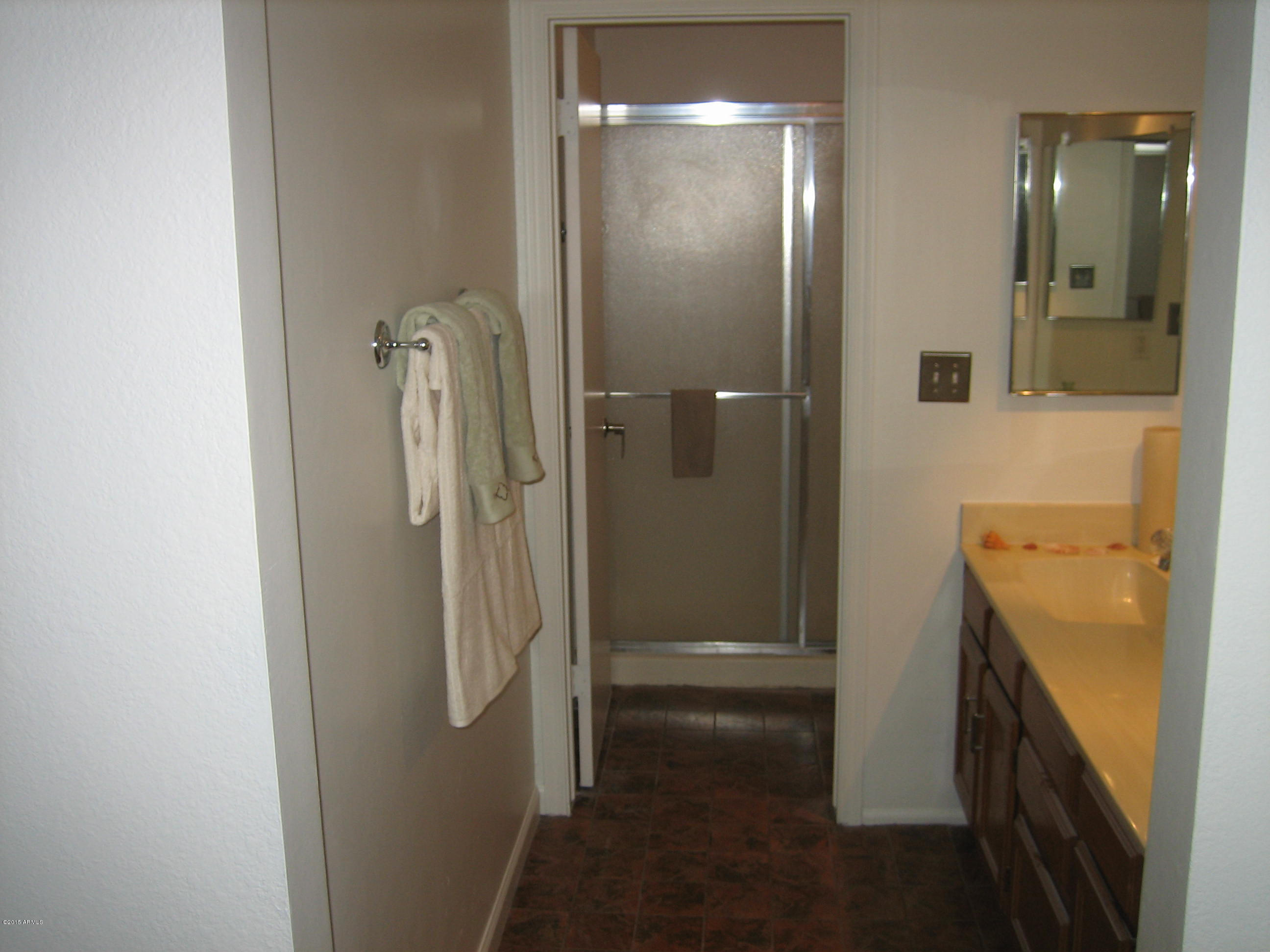 2834 South Ext Road, Unit 1077 Mesa, AZ 85210 - Photo 24 of 33 Master Bath