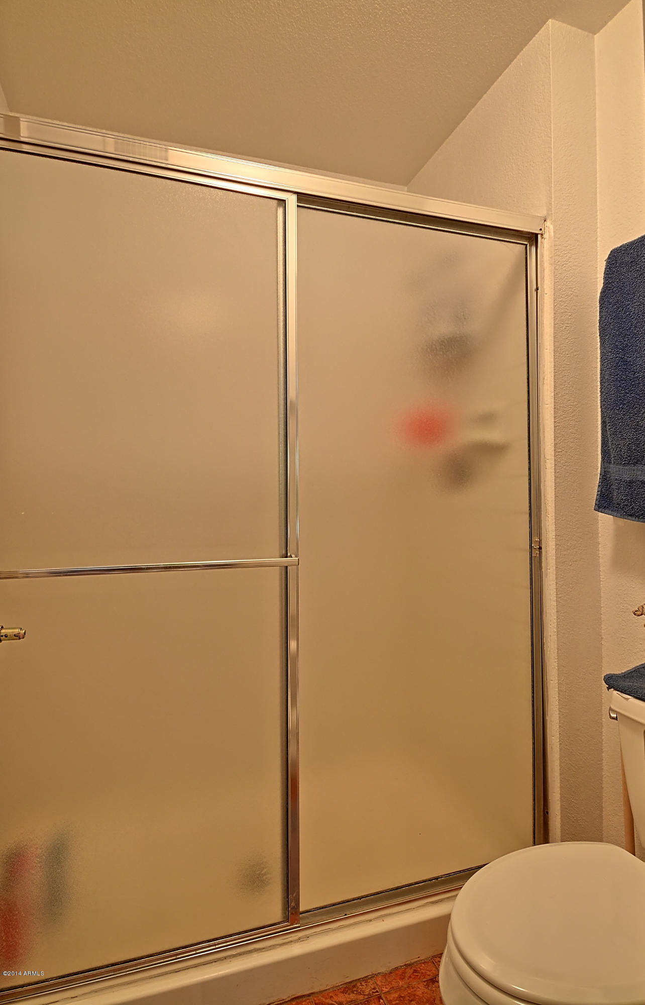 2834 South Ext Road, Unit 1077 Mesa, AZ 85210 - Photo 26 of 33 Master Bath(3)