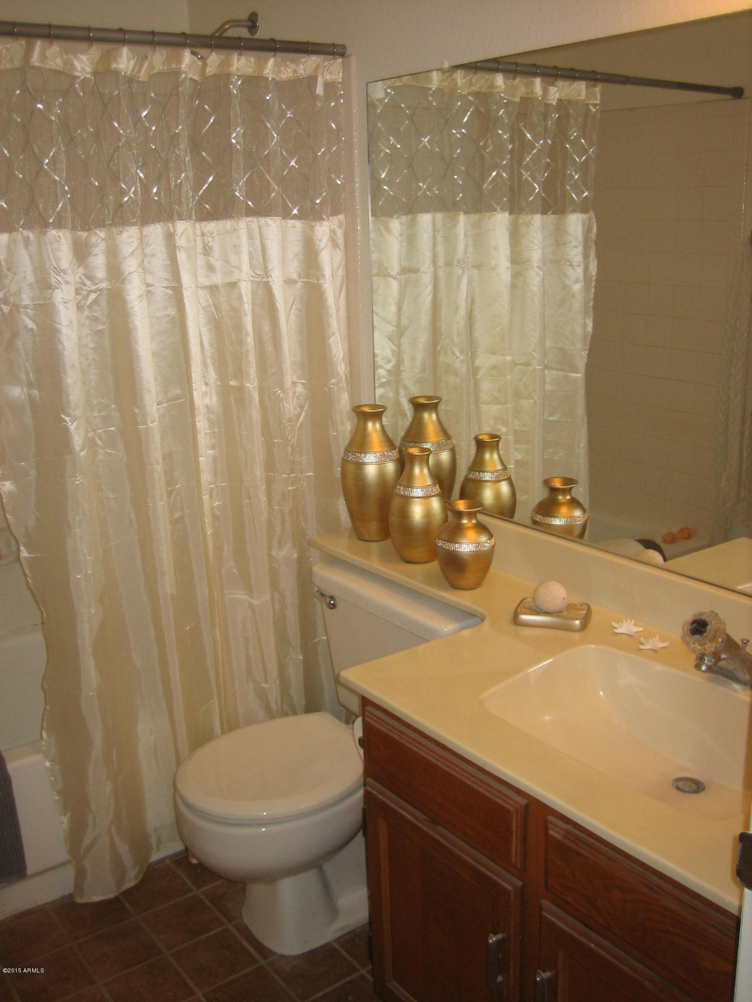 2834 South Ext Road, Unit 1077 Mesa, AZ 85210 - Photo 30 of 33 Hall Bathroom