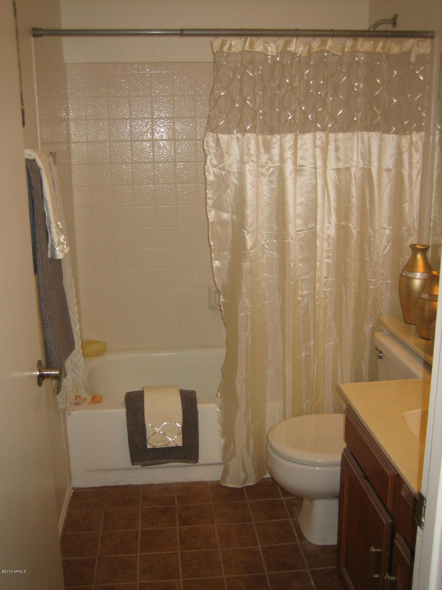 2834 South Ext Road, Unit 1077 Mesa, AZ 85210 - Photo 31 of 33 Hall Bathroom