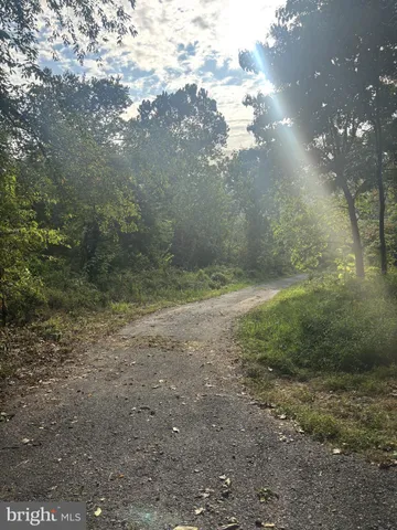 a view of a yard with a house