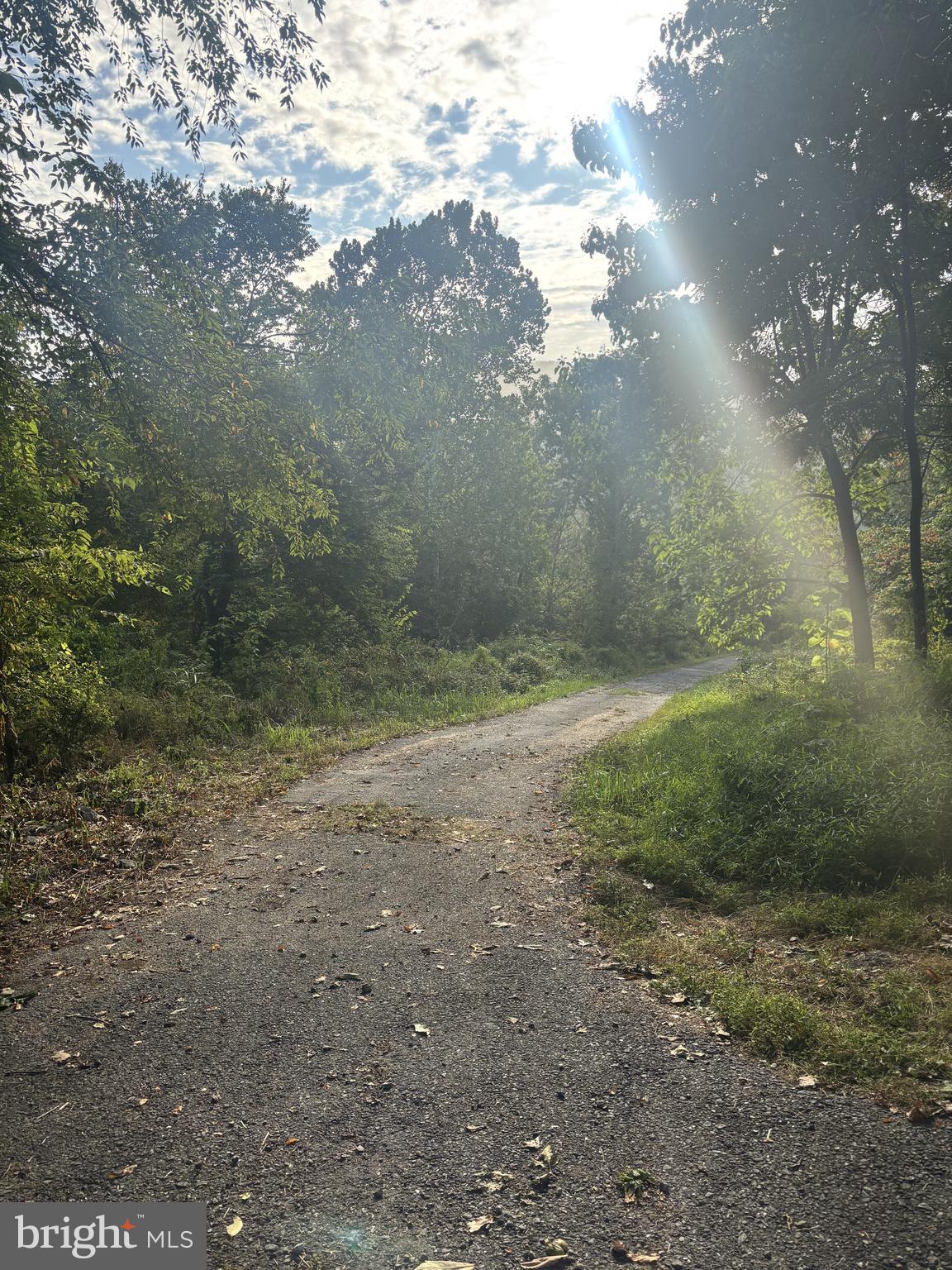 Lot 1 Wolfsville Road Myersville, MD 21773 - Photo 2 of 4 a view of a yard with a house