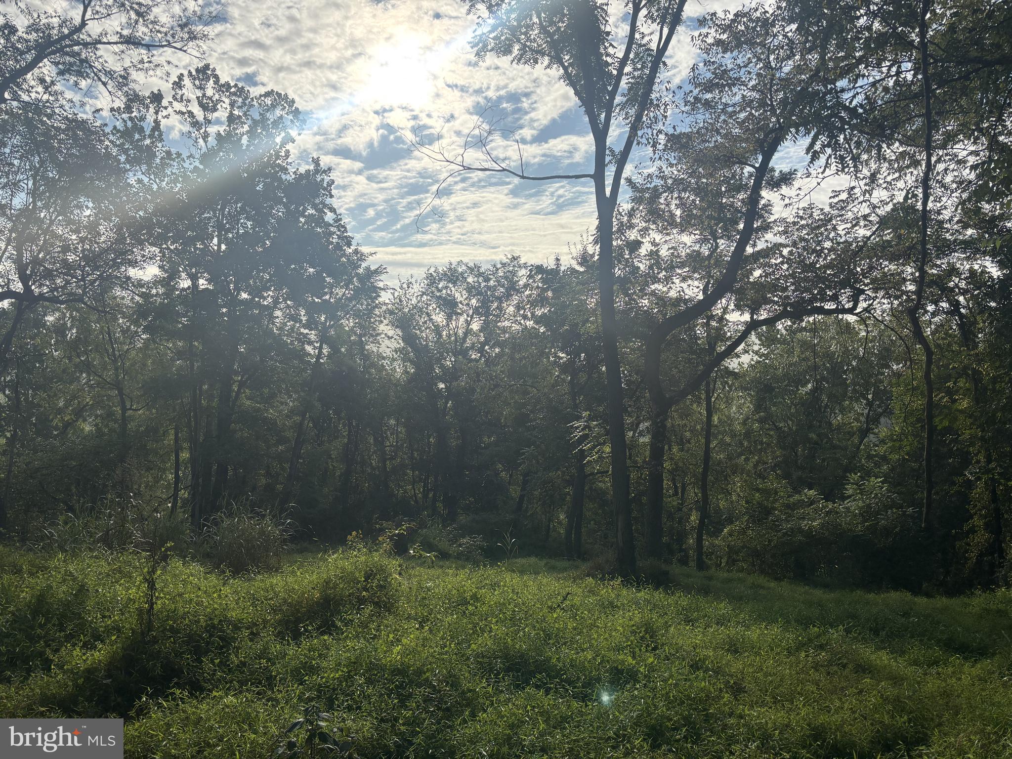 Lot 1 Wolfsville Road Myersville, MD 21773 - Photo 3 of 4 a view of backyard with green space