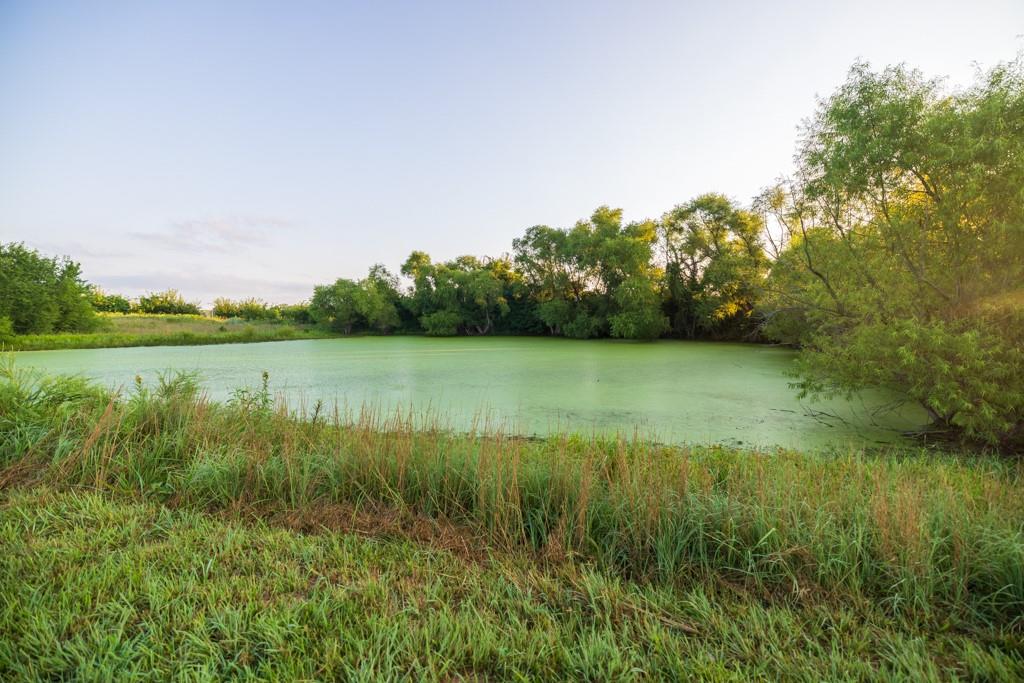 14769 Northeast State Route East Adrian, MO 64720 - Photo 66 of 92 Gallery Image 66