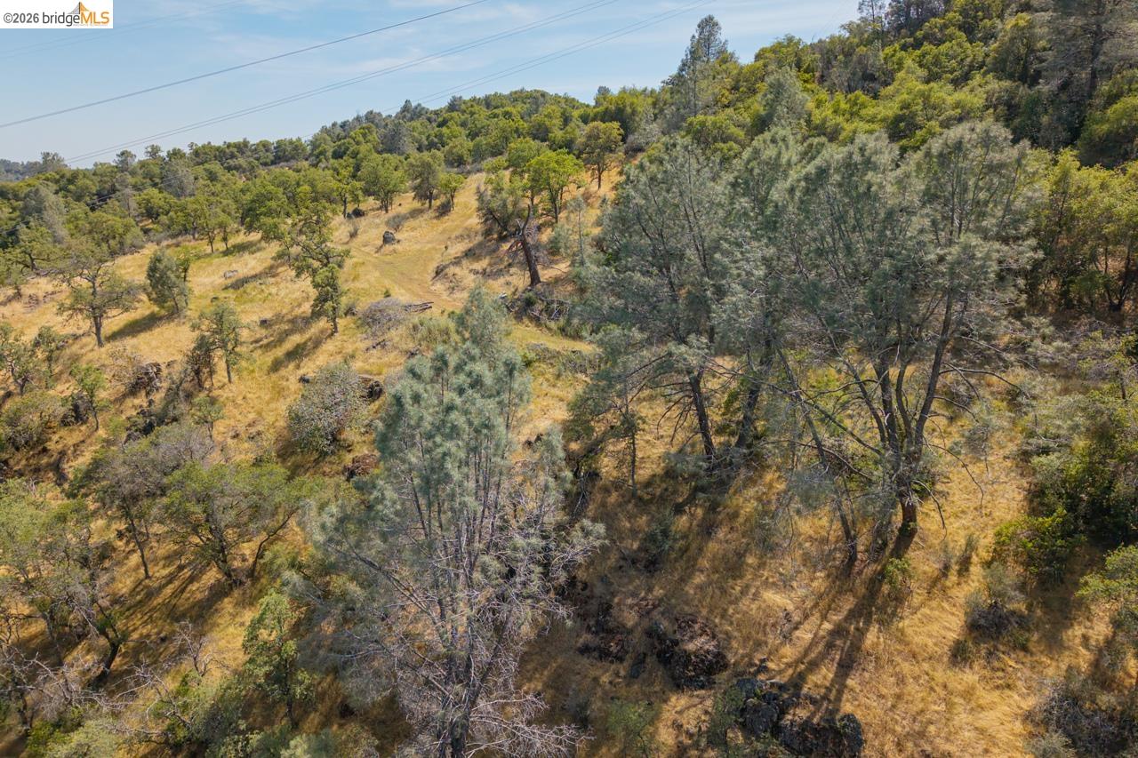 0 Pool Station Road Angels Camp, CA 95222 - Photo 25 of 28
