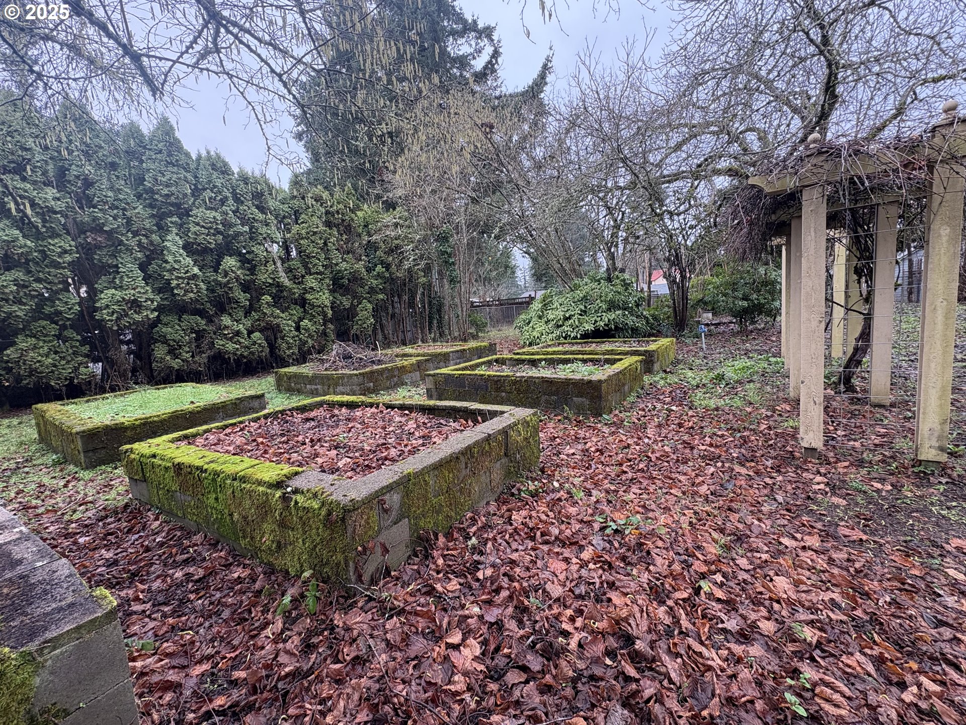 430 West Water Street Stayton, OR 97383 - Photo 37 of 42 a view of a backyard with large trees
