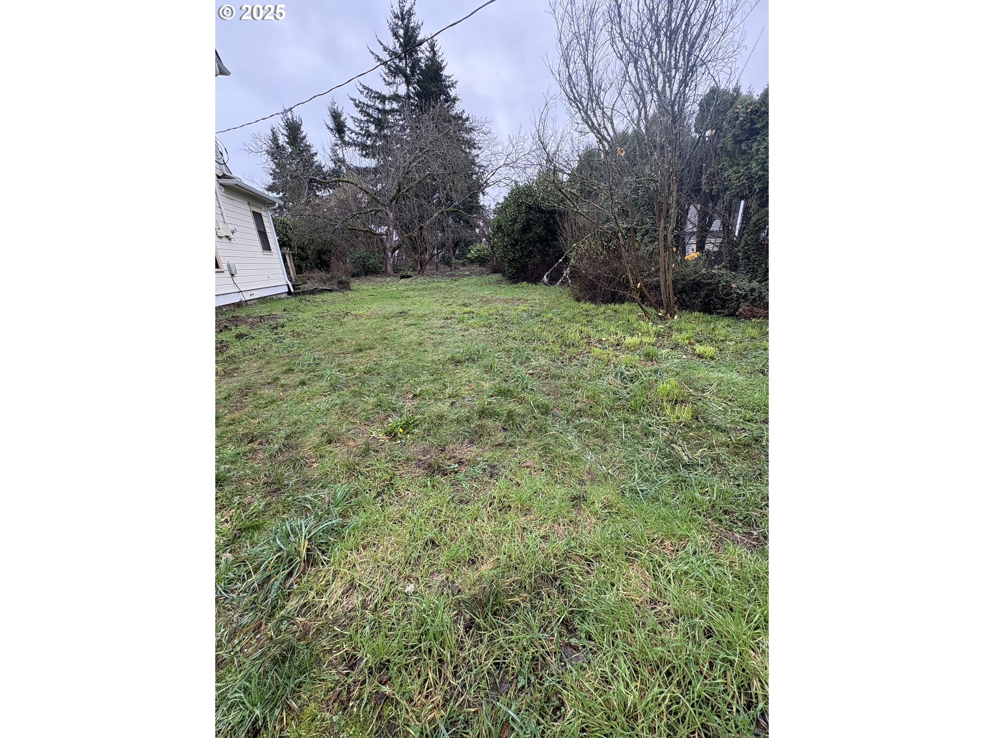 430 West Water Street Stayton, OR 97383 - Photo 39 of 42 a view of a yard