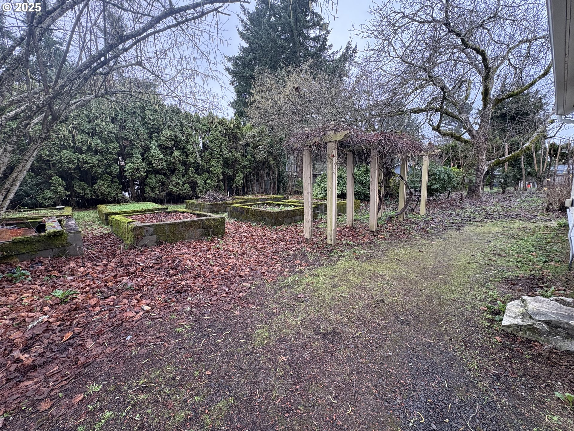 430 West Water Street Stayton, OR 97383 - Photo 40 of 42 a backyard of a house with lots of green space