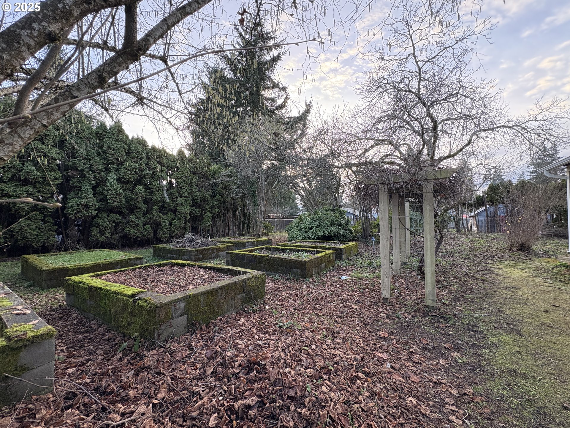 430 West Water Street Stayton, OR 97383 - Photo 6 of 42 a view of a backyard with trees