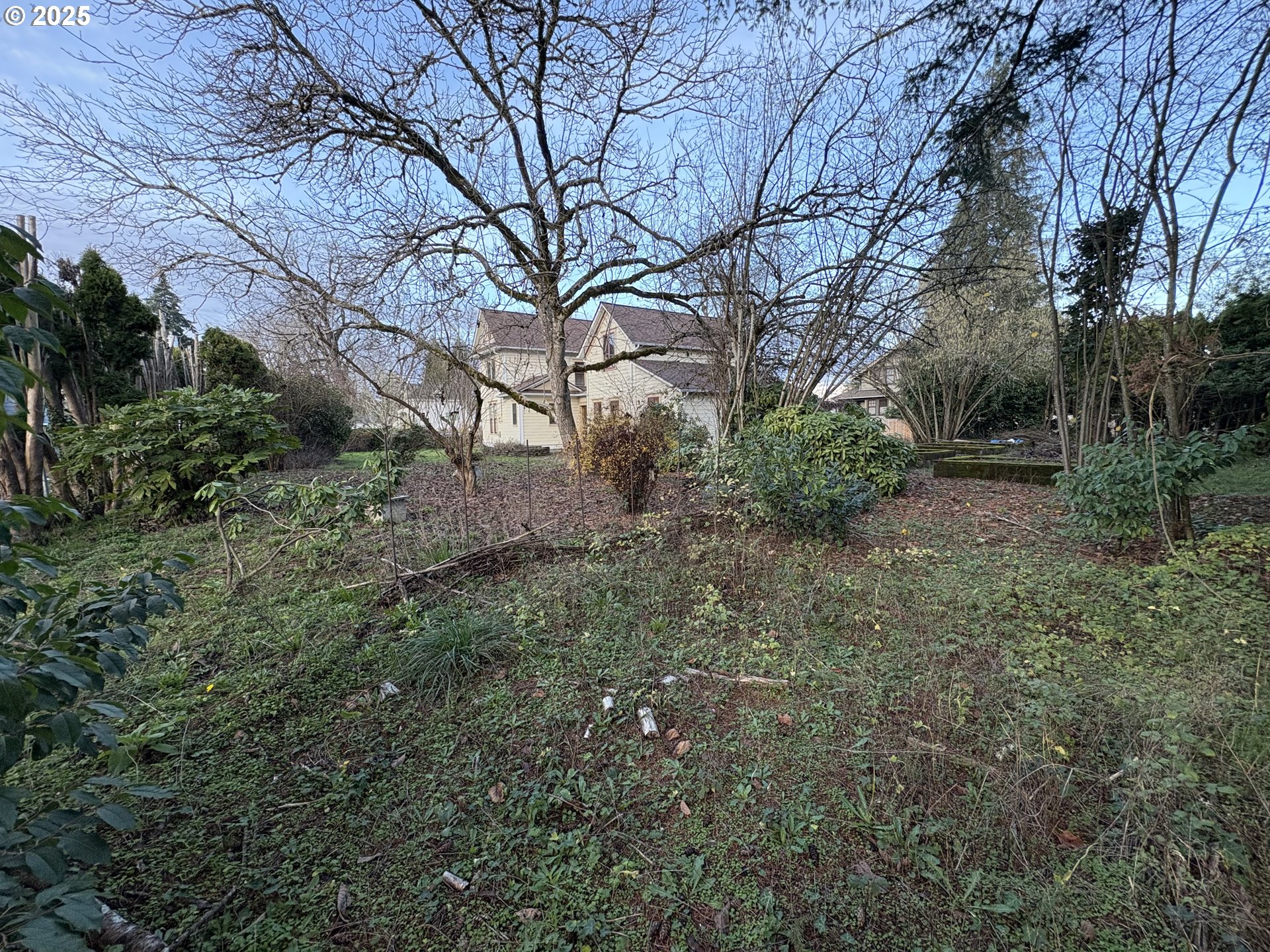 430 West Water Street Stayton, OR 97383 - Photo 7 of 42 a backyard of a house with lots of green space