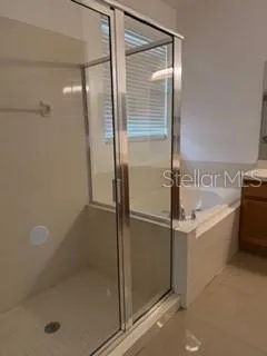 a bathroom with a bathtub and a shower
