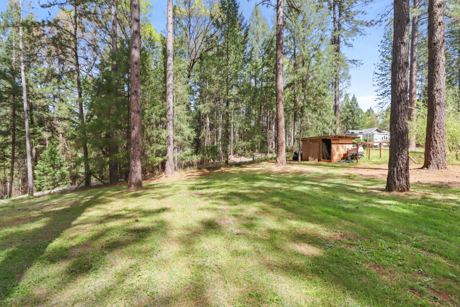 3097 Fort Jim Road Placerville, CA 95667 - Photo 84 of 98