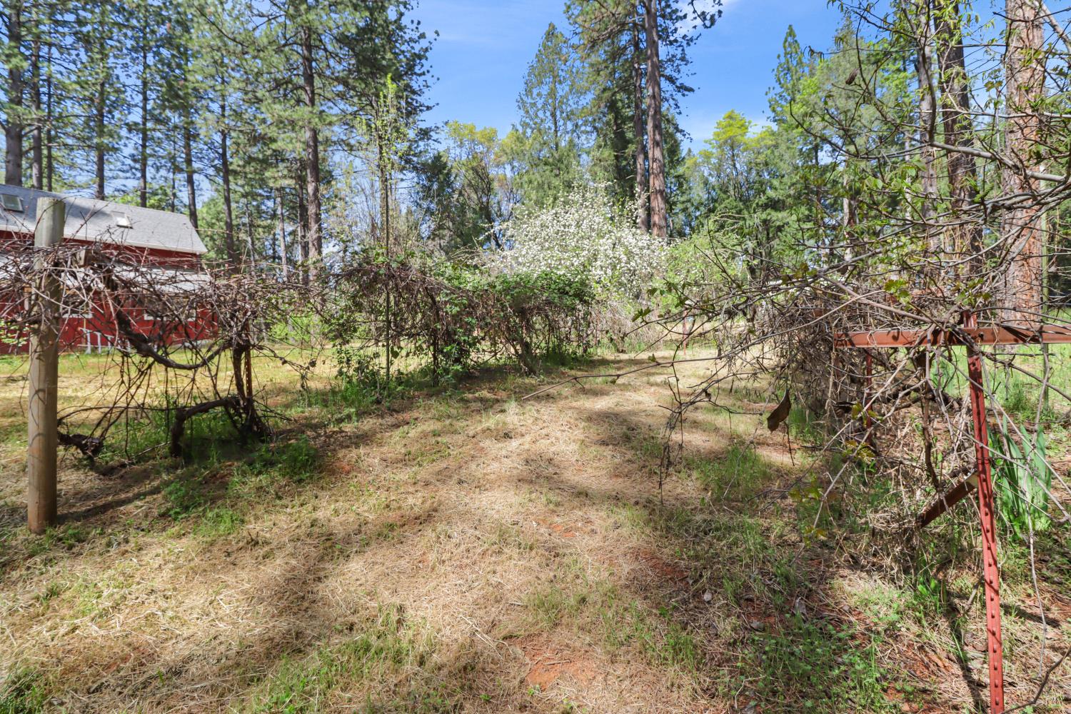 3097 Fort Jim Road Placerville, CA 95667 - Photo 87 of 98