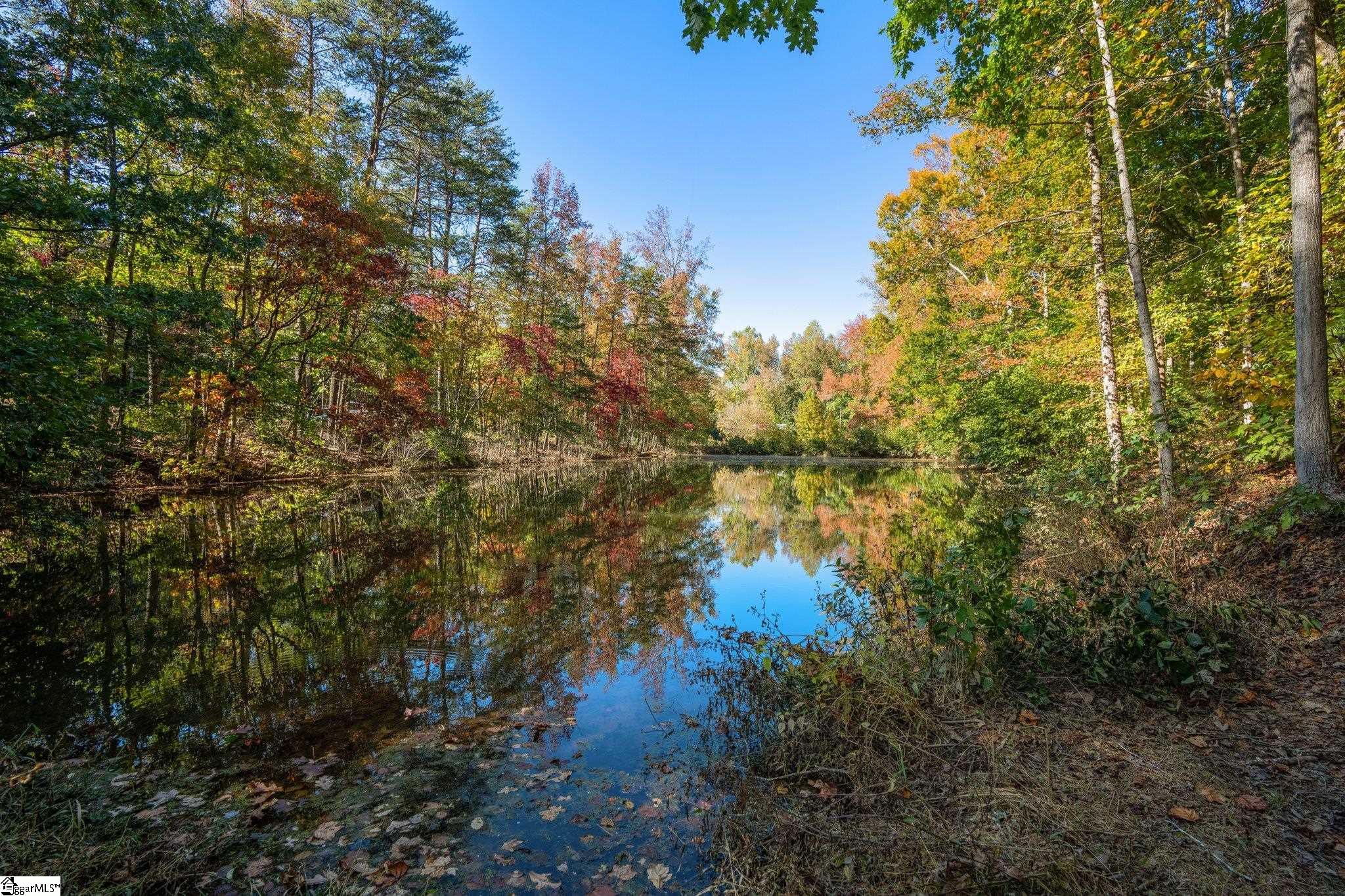 4000 State Park Road Taylors, SC 29687 - Photo 3 of 34